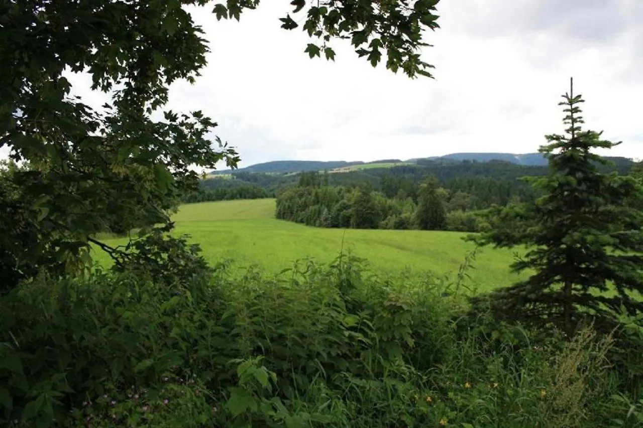Apartment Am Buchenhain Presseck
