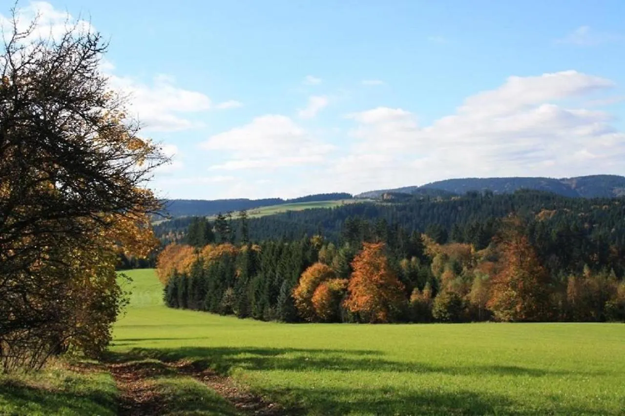 Apartment Am Buchenhain Presseck